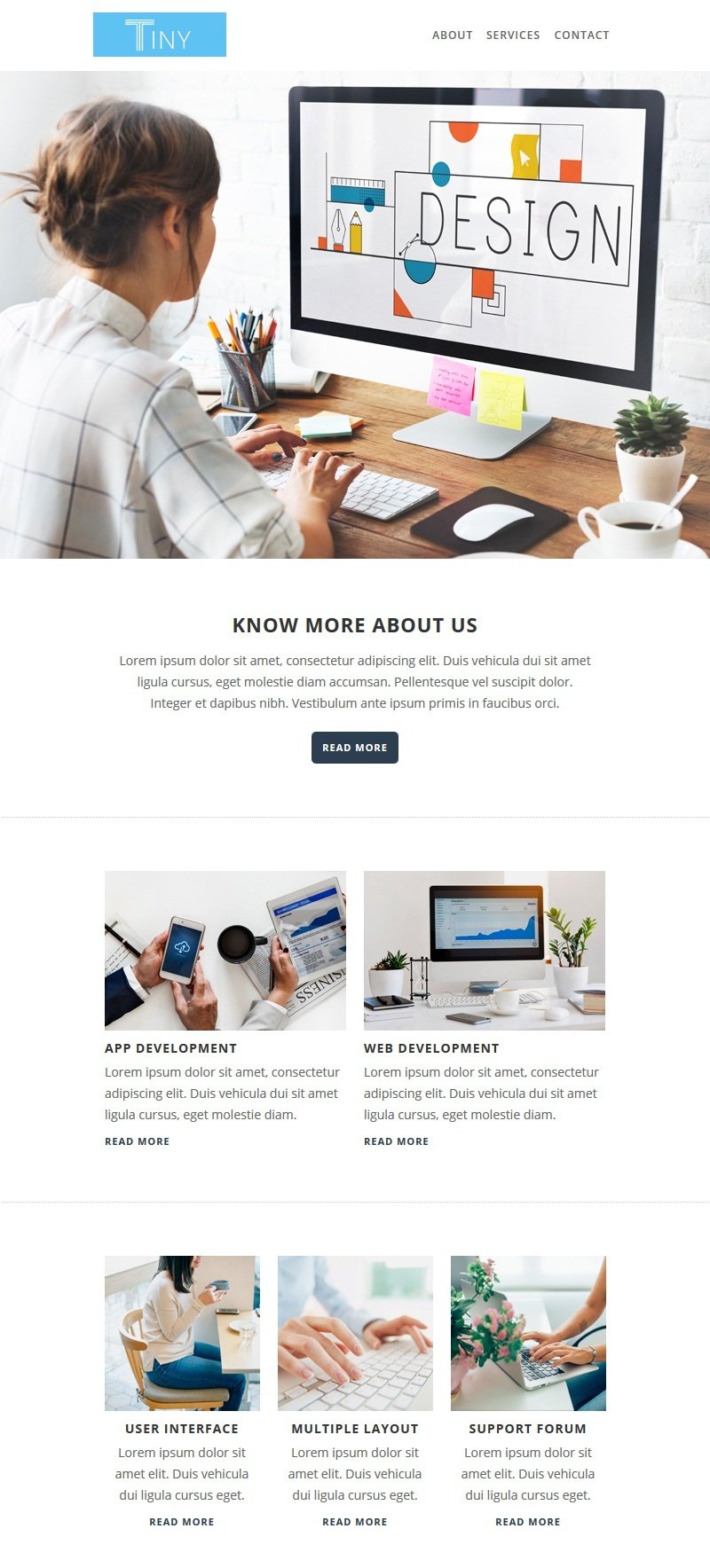 Tiny - Multipurpose Responsive Email